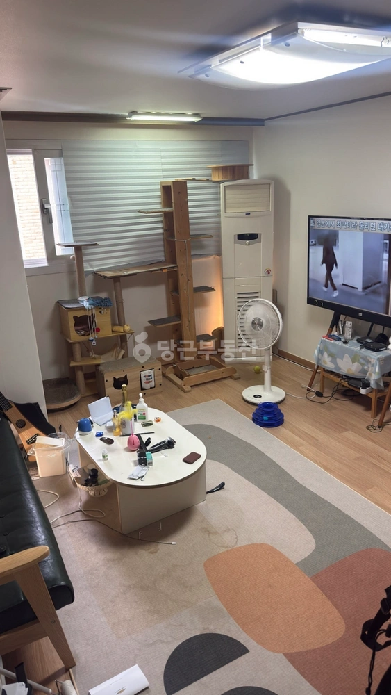 서울특별시 용산구 용산동2가 빌라(투룸 이상) 사진 1