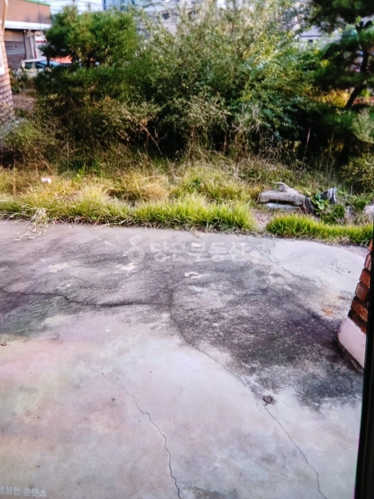 충청남도 천안시 서북구 성환읍 단독/전원주택 사진 1