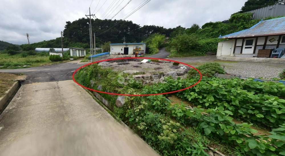 강원특별자치도 양양군 손양면 토지 사진 1