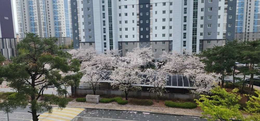 경기도 평택시 죽백동 아파트 사진 1