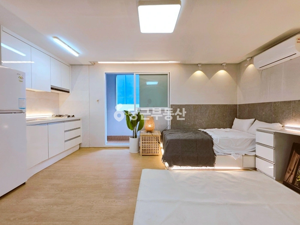 부산광역시 수영구 남천동 원룸 사진 1