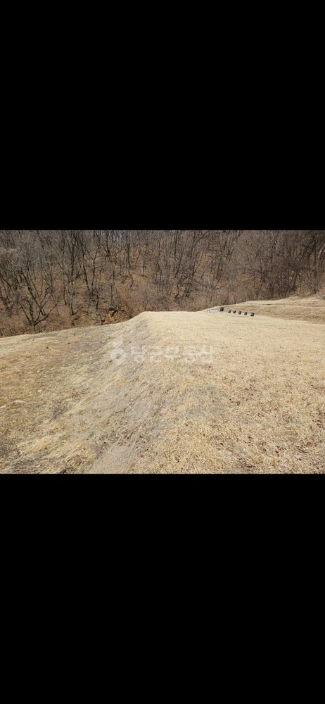 충청남도 천안시 동남구 병천면 토지 사진 1