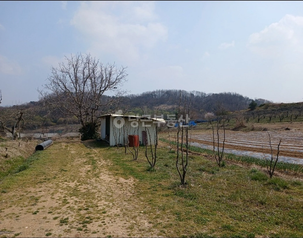 충청남도 천안시 서북구 직산읍 토지 사진 1