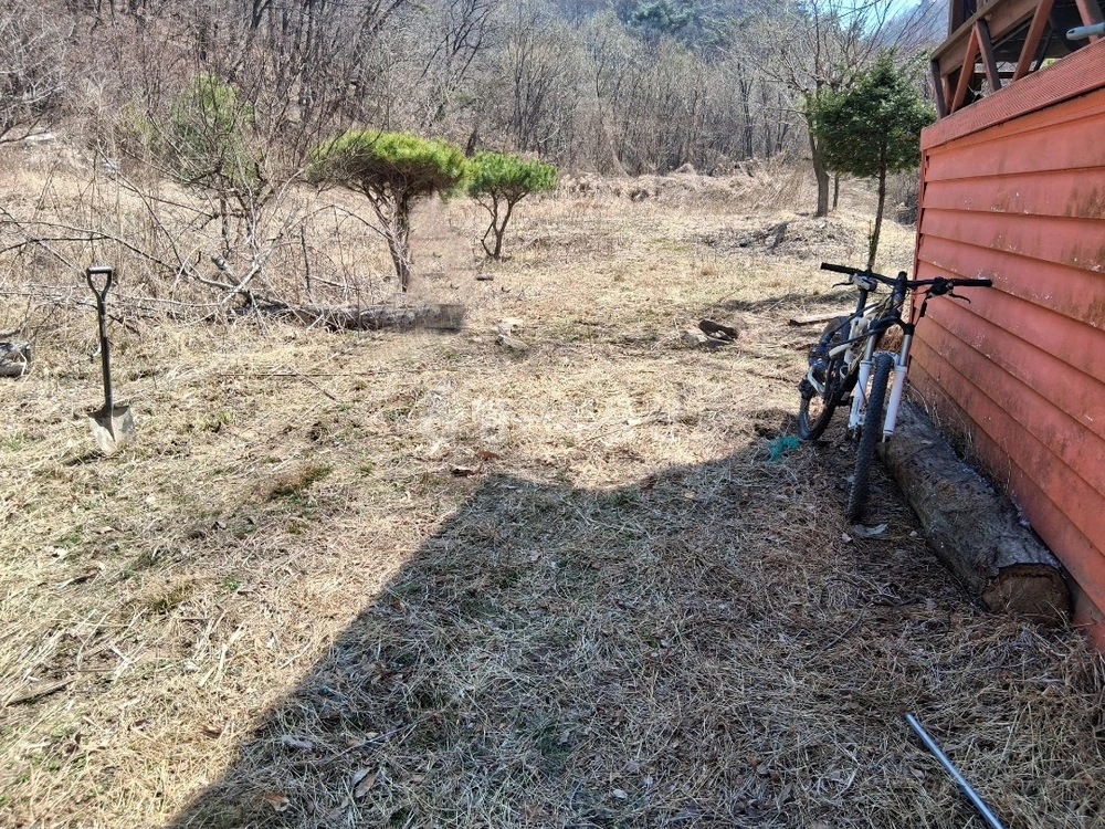 충청남도 천안시 동남구 성남면 토지 사진 1