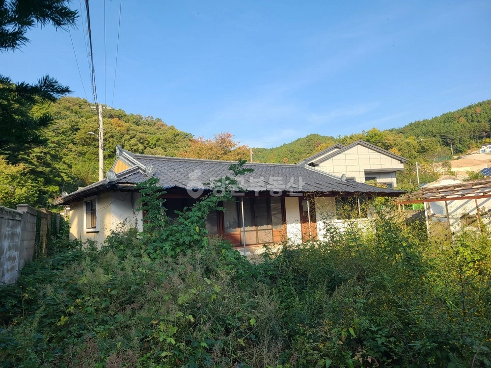 경상북도 영덕군 강구면 단독/전원주택 사진 1