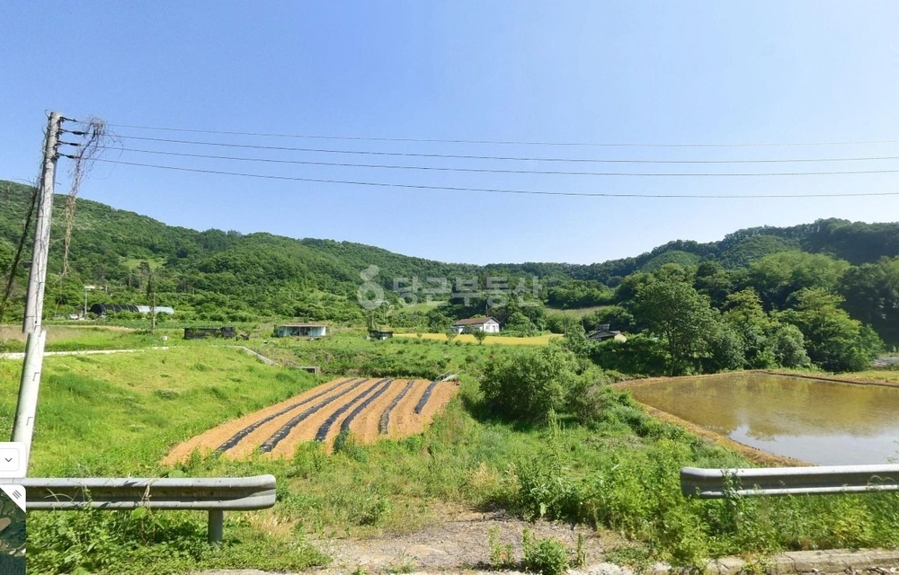 충청북도 옥천군 안남면 토지 사진 1