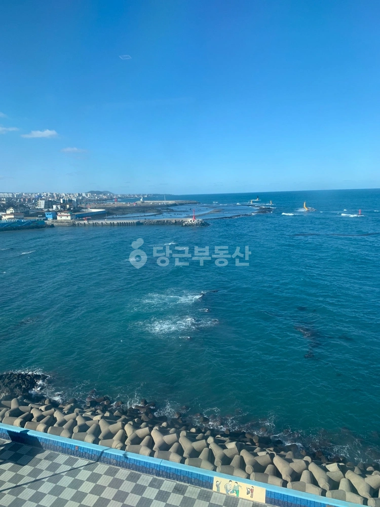 제주특별자치도 제주시 도두일동 아파트 사진 1
