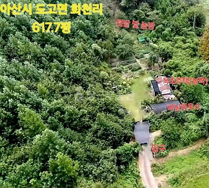 충청남도 아산시 도고면 토지 사진 1