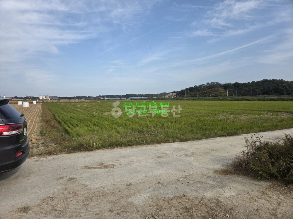 강원특별자치도 강릉시 사천면 토지 사진 1