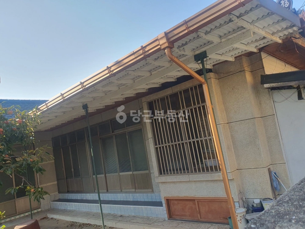 경상북도 경산시 서상동 단독/전원주택 사진 1