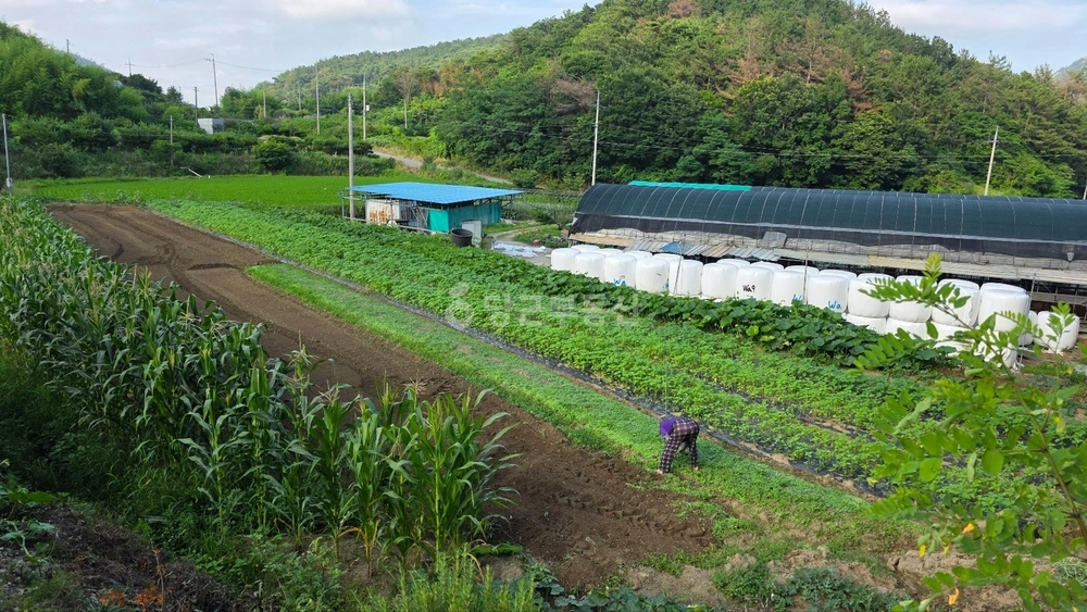 전남광주통합특별시 순천시 별량면 토지 사진 1