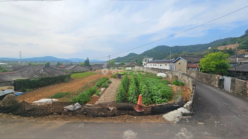 전남광주통합특별시 순천시 해룡면 토지 사진 1