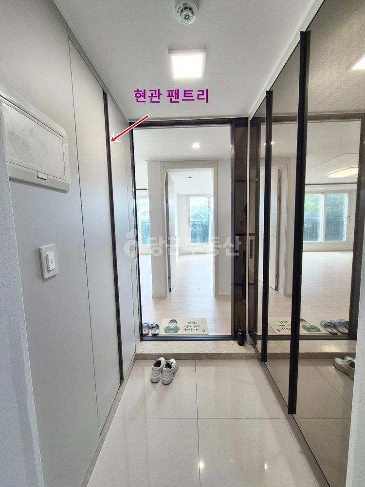 제주특별자치도 서귀포시 안덕면 빌라(투룸 이상) 사진 1
