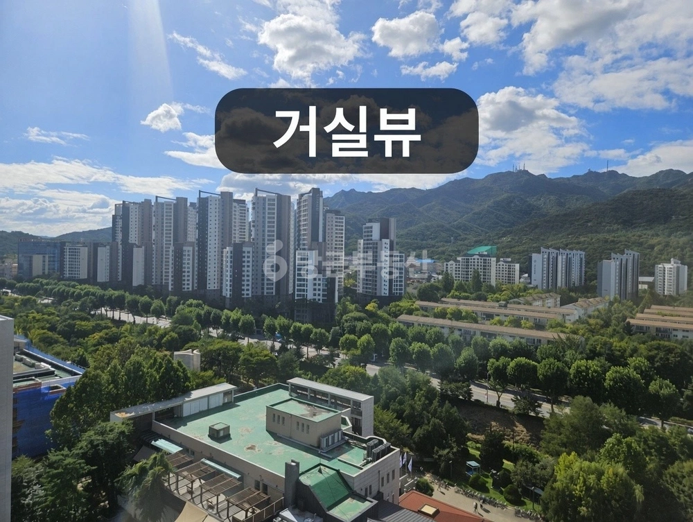 경기도 과천시 별양동 아파트 사진 1