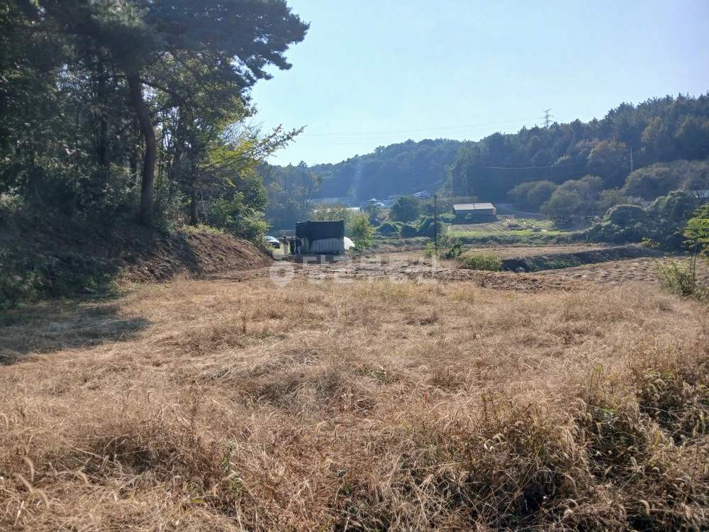 충청남도 서산시 운산면 토지 사진 1