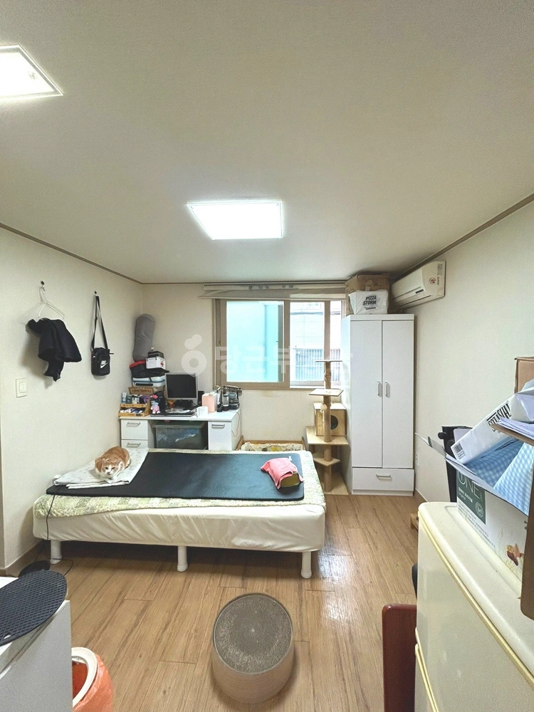 서울특별시 서대문구 남가좌동 원룸 사진 1