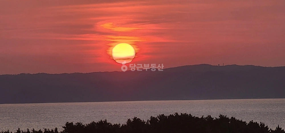 경상북도 포항시 북구 양덕동 아파트 사진 1