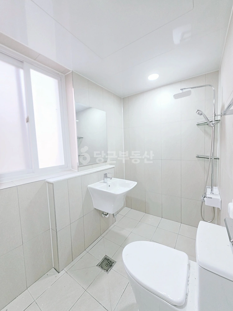 대구광역시 남구 대명동 빌라(투룸 이상) 사진 1