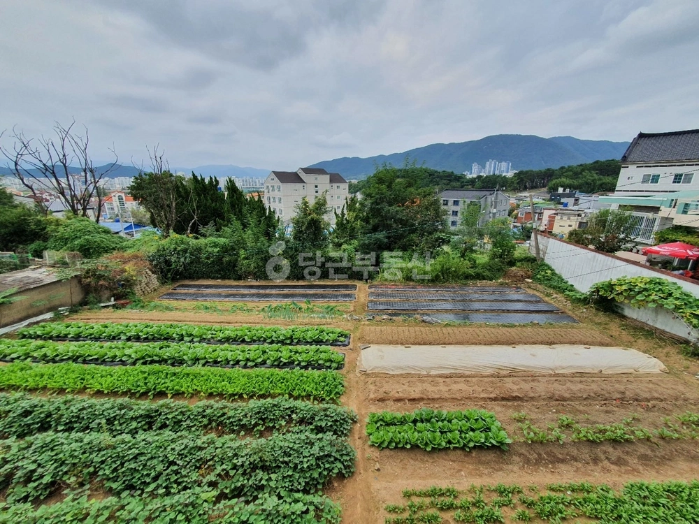 경상남도 김해시 대성동 토지 사진 1
