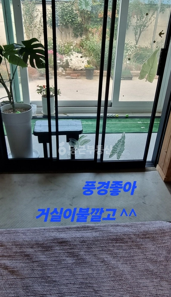경상북도 경주시 강동면 단독/전원주택 사진 1