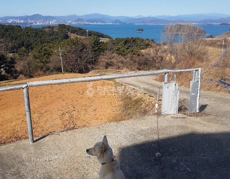 경상남도 남해군 서면 단독/전원주택 사진 1