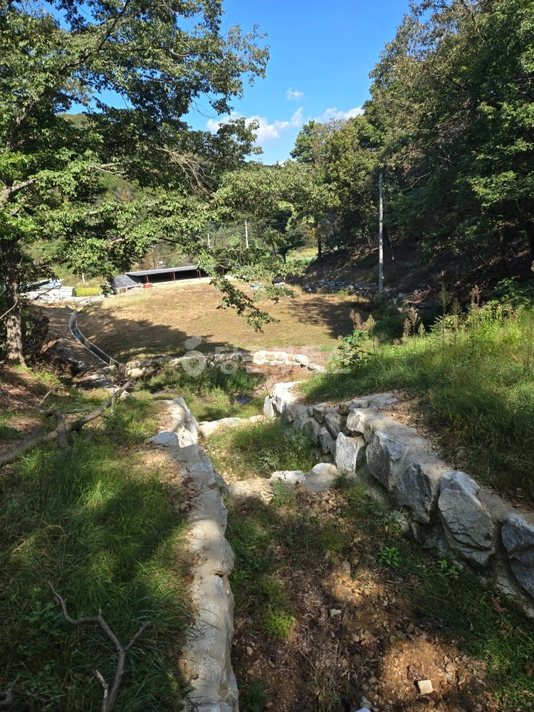경기도 용인시 처인구 이동읍 토지 사진 1