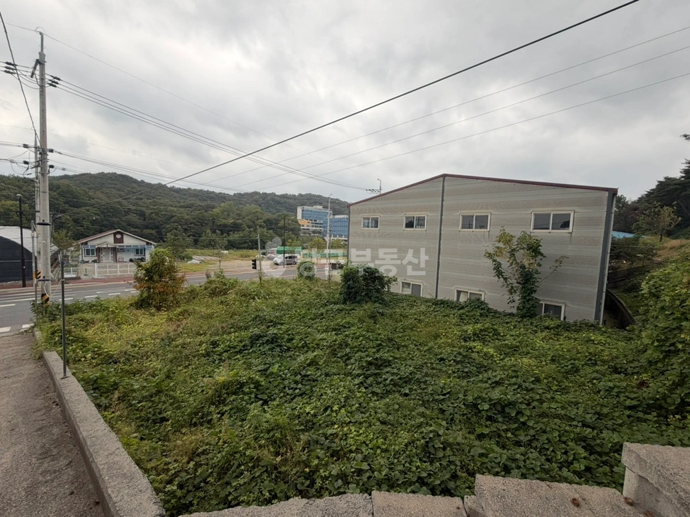 울산광역시 울주군 웅촌면 토지 사진 1