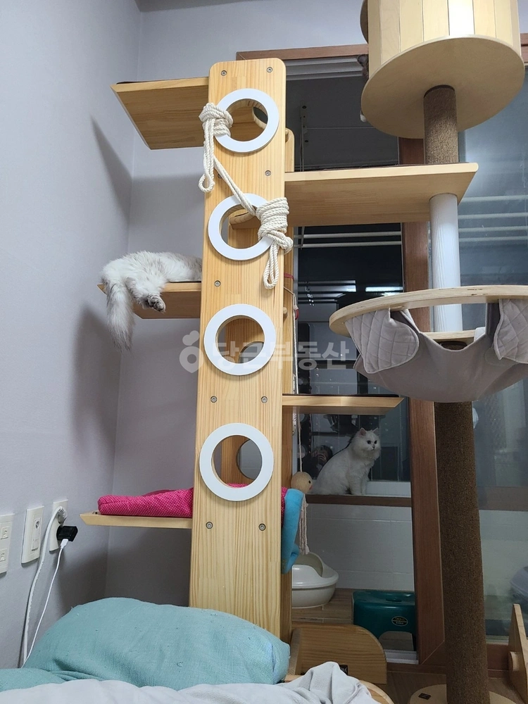 부산광역시 동래구 안락동 오피스텔 사진 1