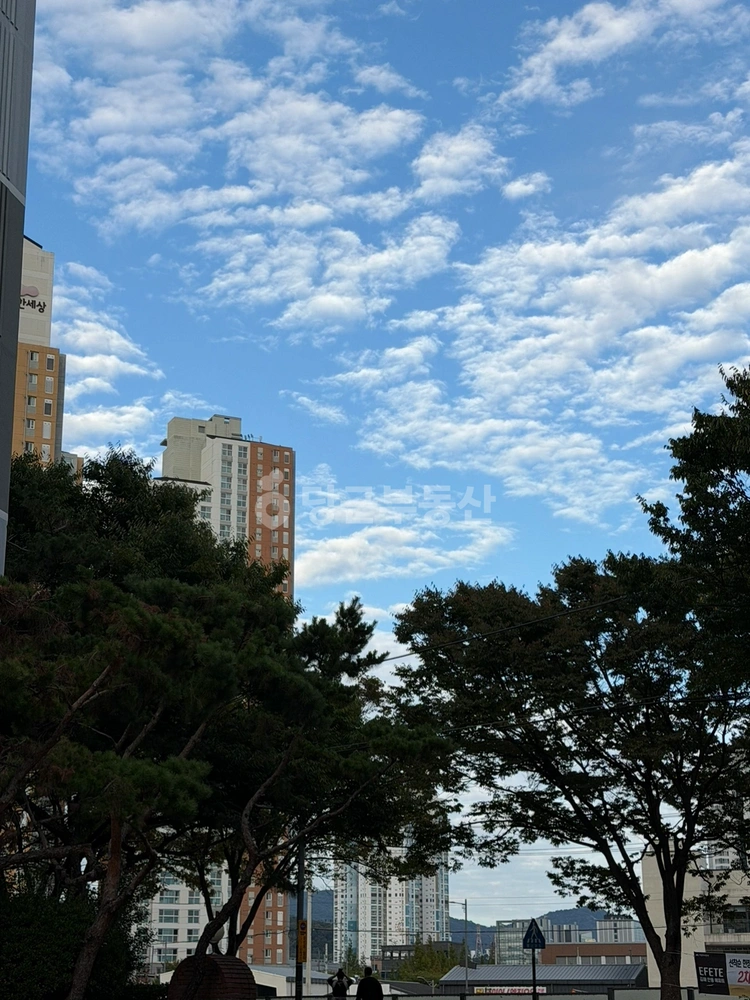 경상남도 김해시 전하동 아파트 사진 1