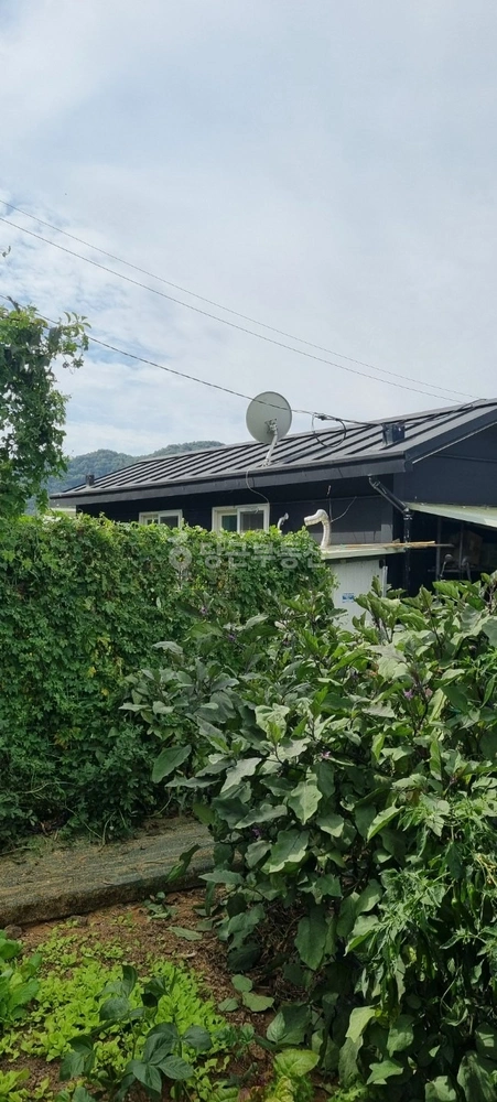 전남광주통합특별시 화순군 화순읍 토지 사진 1
