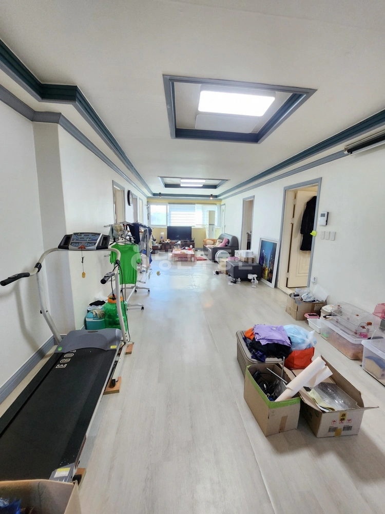 경기도 시흥시 정왕동 빌라(투룸 이상) 사진 1