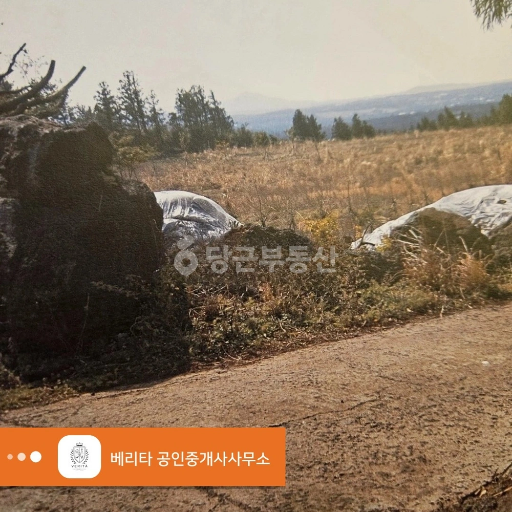 제주특별자치도 서귀포시 강정동 토지 사진 1