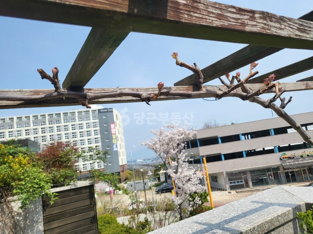 전남광주통합특별시 여수시 덕충동 아파트 사진 1