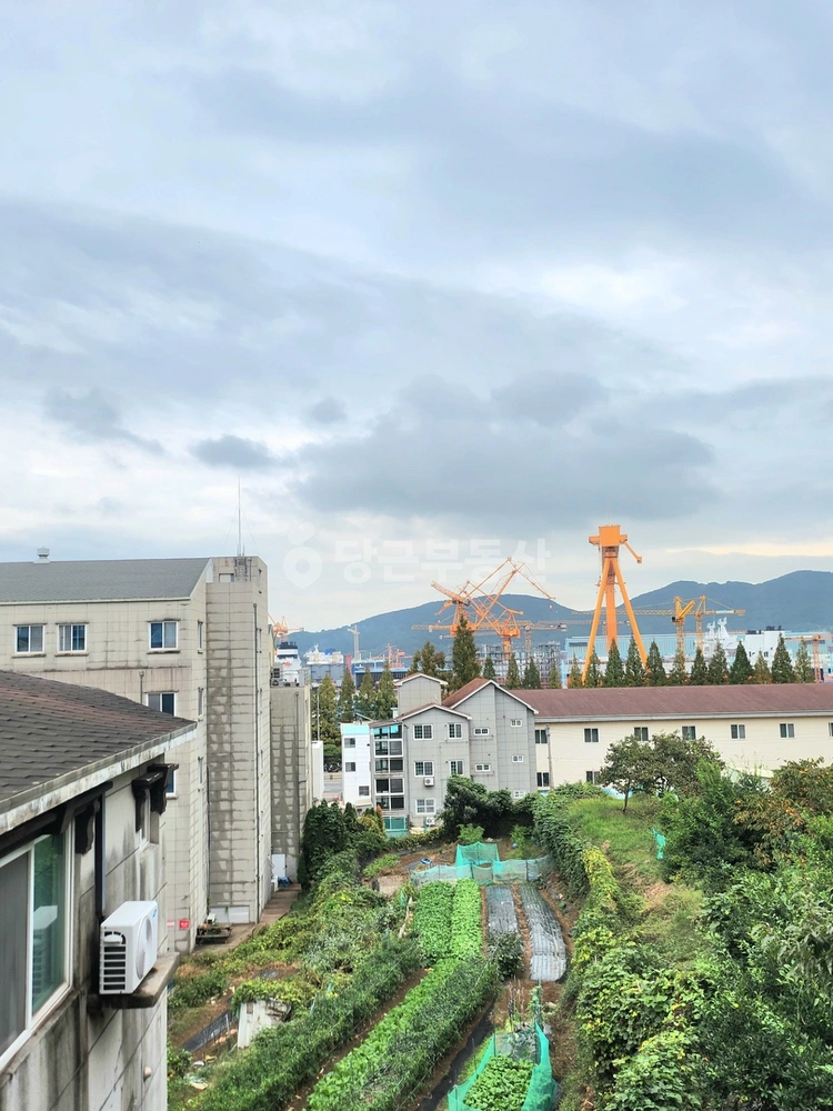 경상남도 거제시 아주동 원룸 사진 1