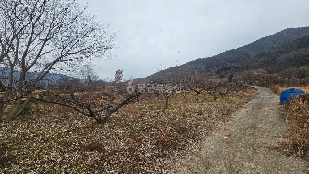 전남광주통합특별시 순천시 낙안면 토지 사진 1