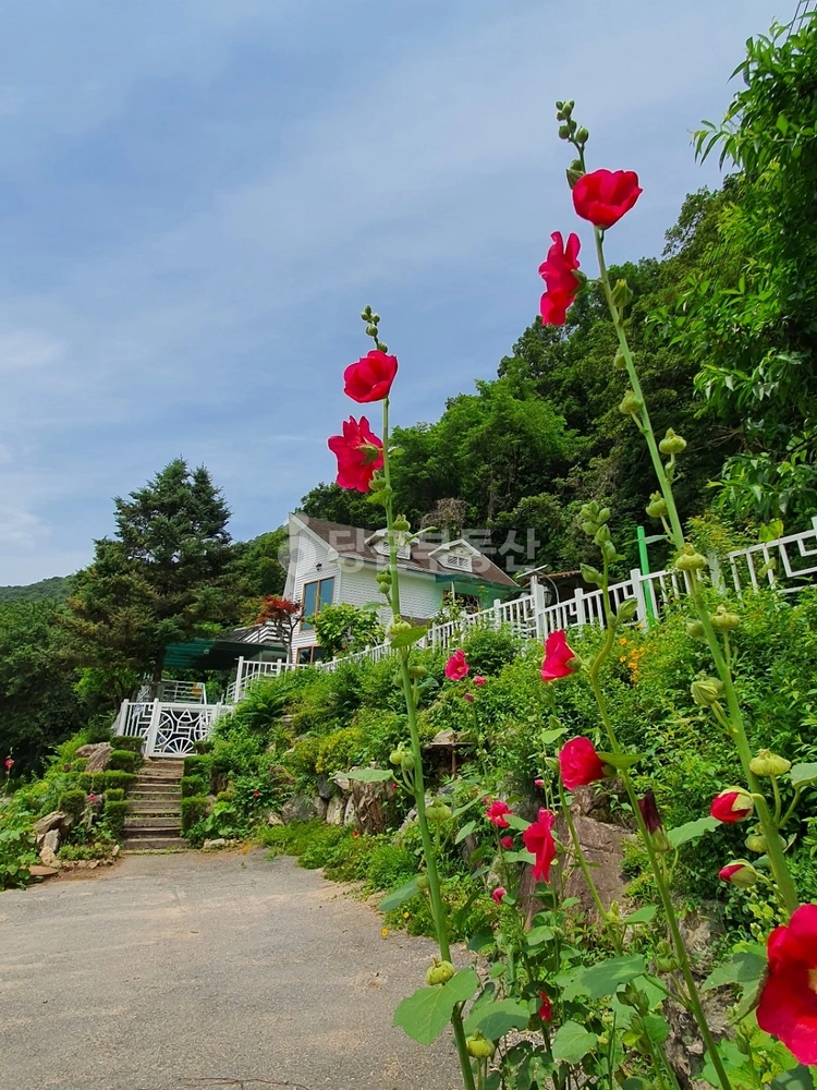 경기도 양평군 서종면 단독/전원주택 사진 1