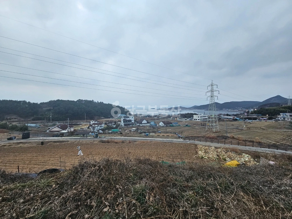 전남광주통합특별시 여수시 소라면 토지 사진 1