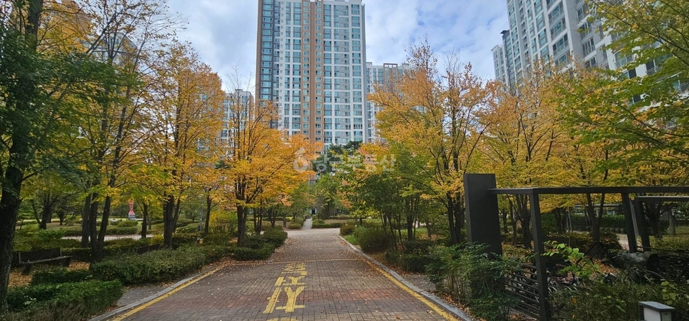 대전광역시 서구 도안동 아파트 사진 1