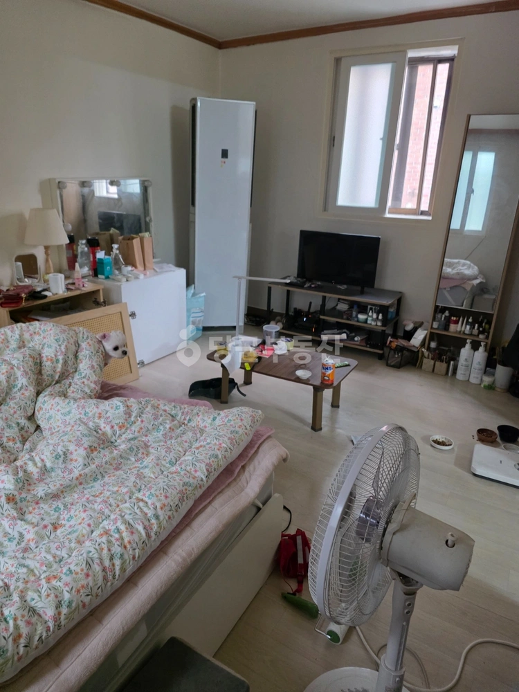 서울특별시 광진구 자양동 빌라(투룸 이상) 사진 1