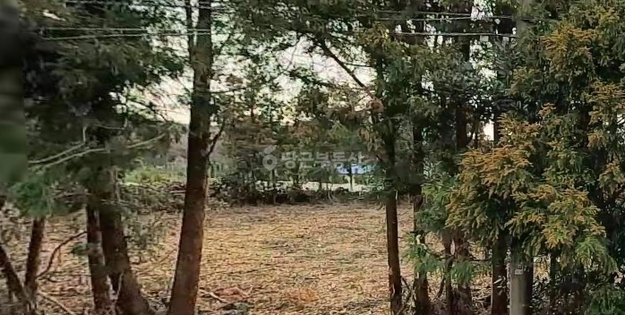 제주특별자치도 제주시 조천읍 토지 사진 1