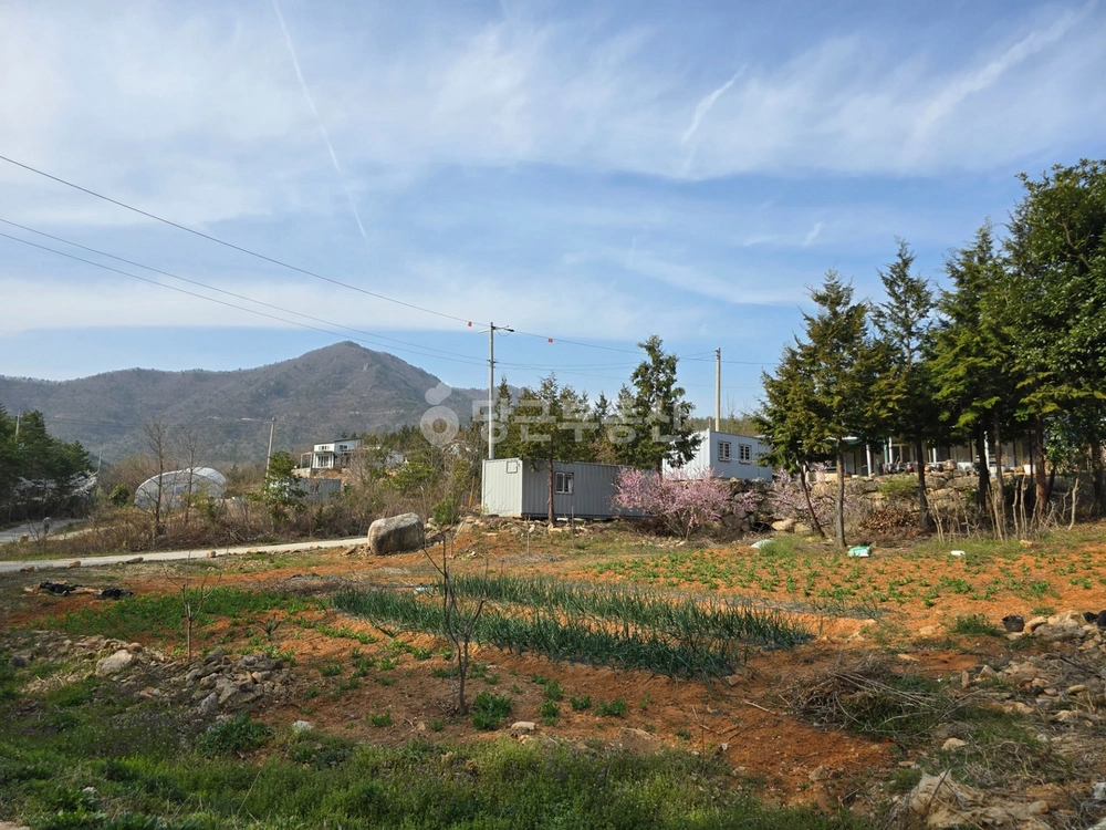 전남광주통합특별시 장흥군 대덕읍 토지 사진 1
