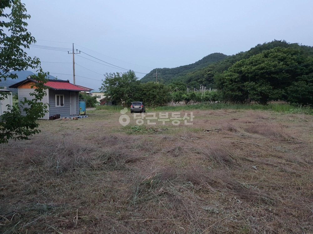 충청북도 충주시 노은면 토지 사진 1