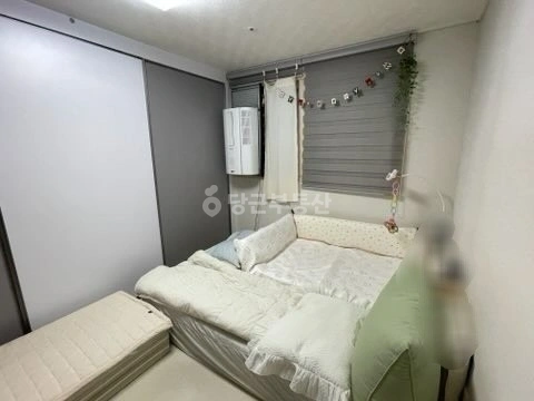 서울특별시 관악구 신림동 빌라(투룸 이상) 사진 1