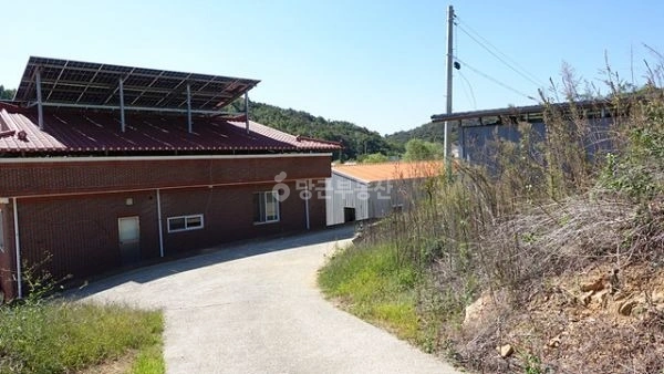 경상북도 성주군 선남면 토지 사진 1