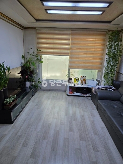 경기도 부천시 소사구 심곡본동 빌라(투룸 이상) 사진 1