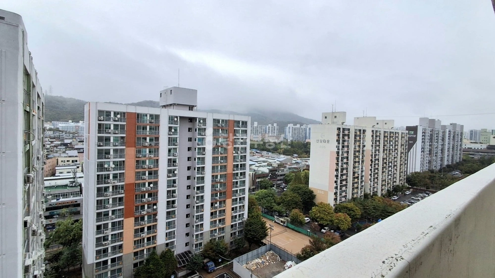 대구광역시 달서구 신당동 아파트 사진 1