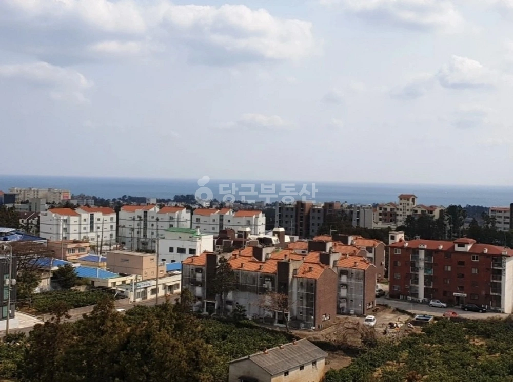 제주특별자치도 서귀포시 중문동 오피스텔 사진 1