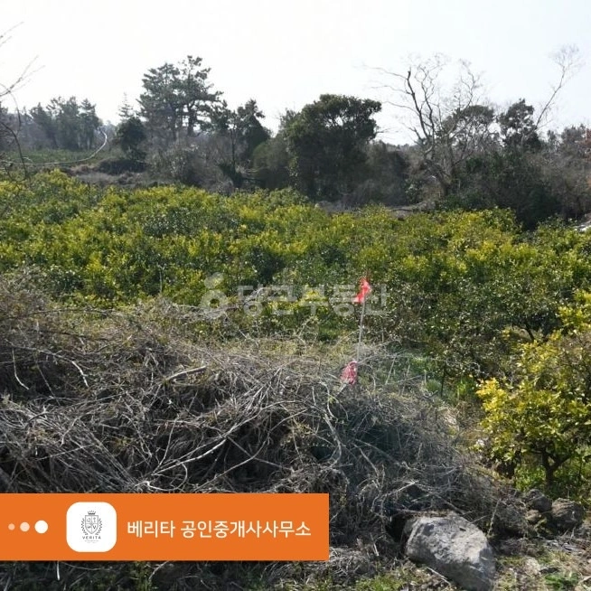 제주특별자치도 서귀포시 대정읍 토지 사진 1