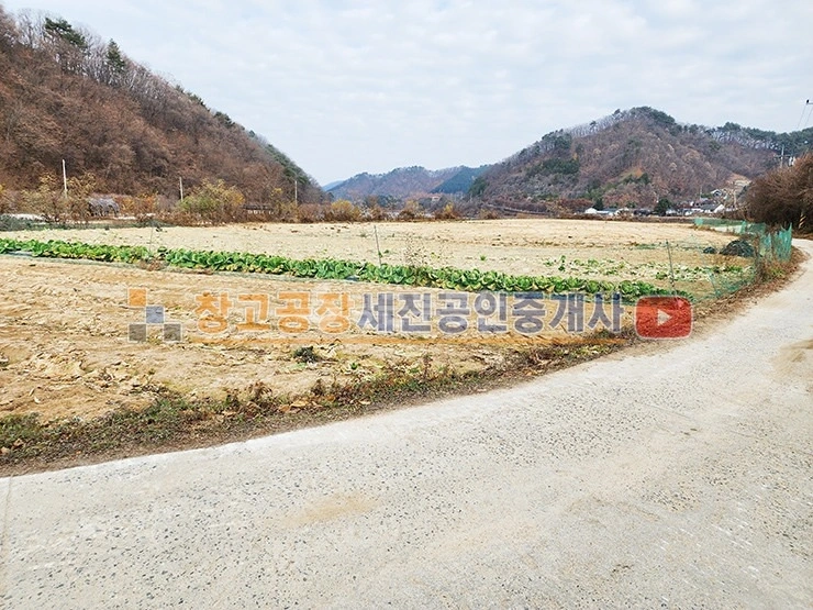 강원특별자치도 철원군 근남면 토지 사진 1