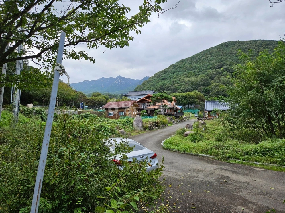 경상북도 성주군 수륜면 토지 사진 1